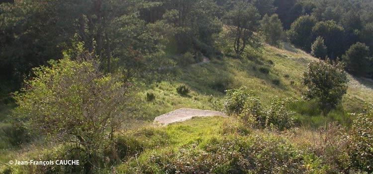 Camping Le Cote D'Opale Cucq Kültér fotó